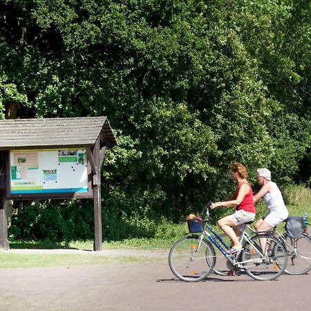 Appartementen - Bungalowpark Mooyeveld - Uniek Gelegen In De Duinen! Эгмонд-Биннен Экстерьер фото