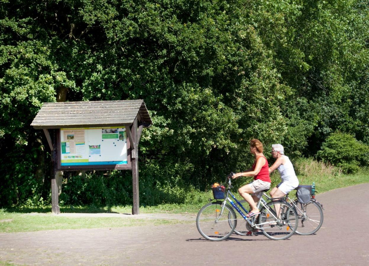 Appartementen - Bungalowpark Mooyeveld - Uniek Gelegen In De Duinen! Эгмонд-Биннен Экстерьер фото